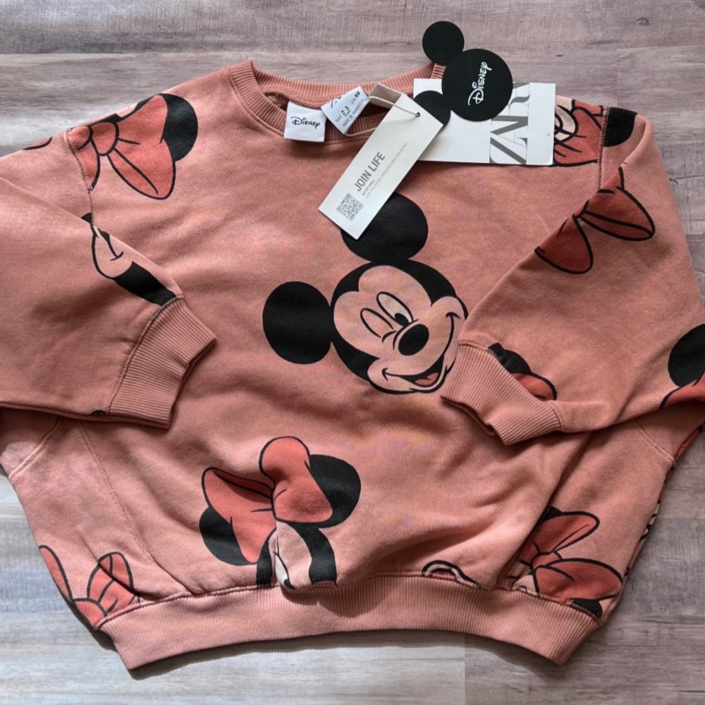 Zara Disney Sweatshirt